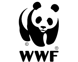 beca WWF-Agencia EFE