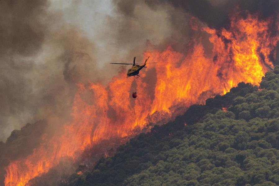 El fotógrafo de EFE Daniel Pérez, Premio Andalucía por una imagen del incendio de Málaga