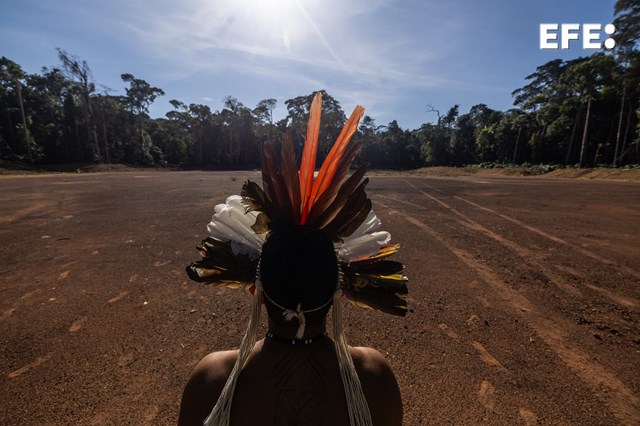 Silves (Brasil), 19/06/2024.- El cacique Jonas observa un área deforestada , el 14 de junio del 2024, en la selva amazónica (Brasil). La extracción de gas natural en plena Amazonía brasileña ha puesto en pie de guerra al pueblo Mura. Mientras las autoridades hablan de desarrollo para la región, esta etnia teme por los ríos y los bosques de los que vive y ha entablado una lucha legal para frenar el proyecto. EFE/ Antonio Lacerda